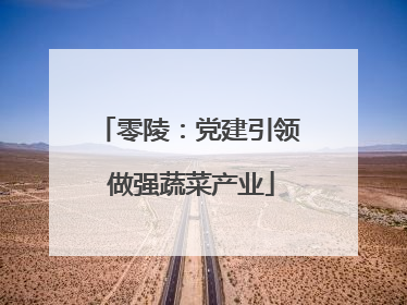 零陵：党建引领 做强蔬菜产业