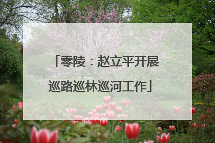 零陵：赵立平开展巡路巡林巡河工作
