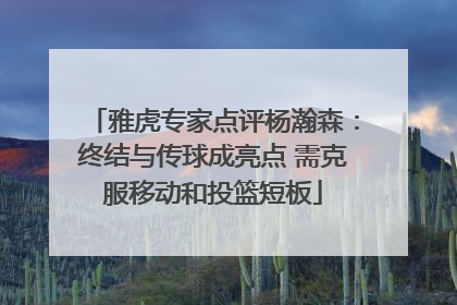 雅虎专家点评杨瀚森：终结与传球成亮点 需克服移动和投篮短板