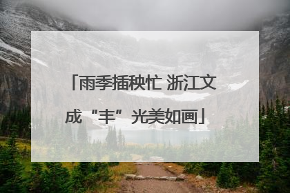 雨季插秧忙 浙江文成“丰”光美如画
