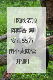 风吹麦浪阵阵香 海安市55万亩小麦陆续开镰