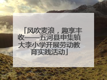 风吹麦浪，趣享丰收——五河县申集镇大李小学开展劳动教育实践活动