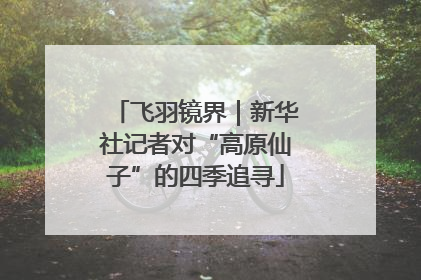 飞羽镜界｜新华社记者对“高原仙子”的四季追寻
