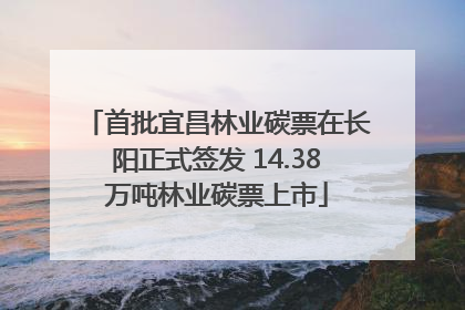 首批宜昌林业碳票在长阳正式签发 14.38万吨林业碳票上市
