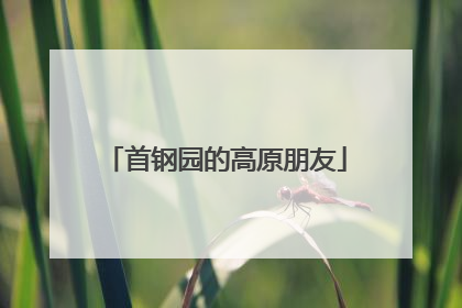 首钢园的高原朋友