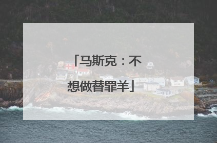 马斯克：不想做替罪羊