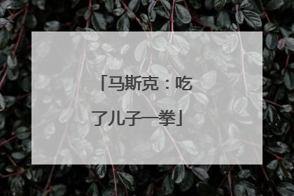 马斯克：吃了儿子一拳