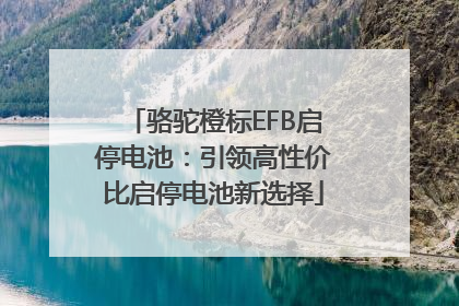 骆驼橙标EFB启停电池：引领高性价比启停电池新选择