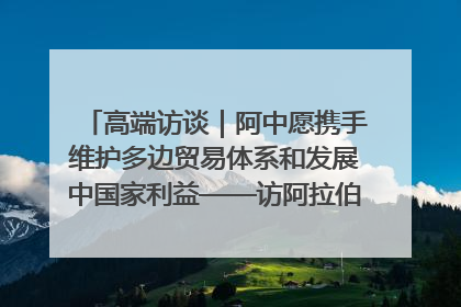 高端访谈｜阿中愿携手维护多边贸易体系和发展中国家利益——访阿拉伯议会议长亚马希