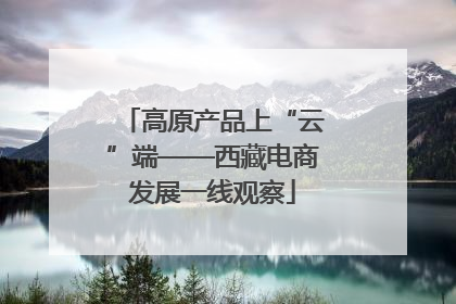 高原产品上“云”端——西藏电商发展一线观察