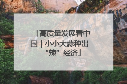 高质量发展看中国｜小小大蒜种出“辣”经济