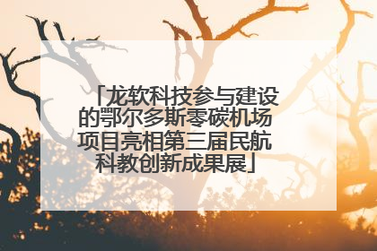 龙软科技参与建设的鄂尔多斯零碳机场项目亮相第三届民航科教创新成果展