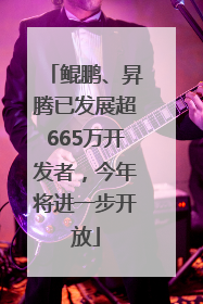 鲲鹏、昇腾已发展超665万开发者，今年将进一步开放