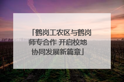 鹤岗工农区与鹤岗师专合作 开启校地协同发展新篇章