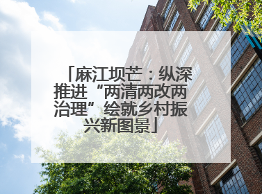 麻江坝芒：纵深推进“两清两改两治理”绘就乡村振兴新图景