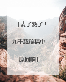 麦子熟了！九千载稼穑中原回响