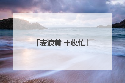 麦浪黄 丰收忙