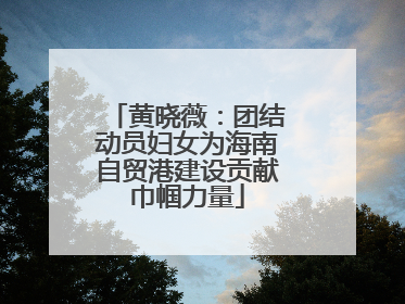 黄晓薇：团结动员妇女为海南自贸港建设贡献巾帼力量