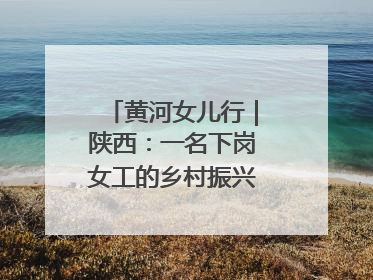黄河女儿行｜陕西：一名下岗女工的乡村振兴“家政兵法”