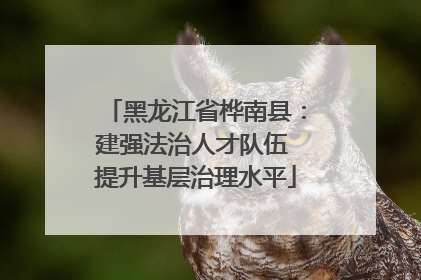 黑龙江省桦南县：建强法治人才队伍 提升基层治理水平