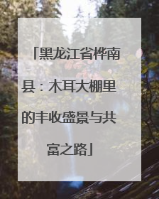 黑龙江省桦南县：木耳大棚里的丰收盛景与共富之路