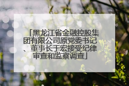 黑龙江省金融控股集团有限公司原党委书记、董事长于宏接受纪律审查和监察调查