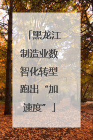 黑龙江制造业数智化转型跑出“加速度”