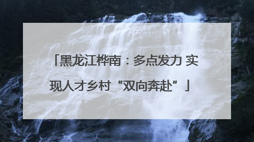 黑龙江桦南：多点发力 实现人才乡村“双向奔赴”