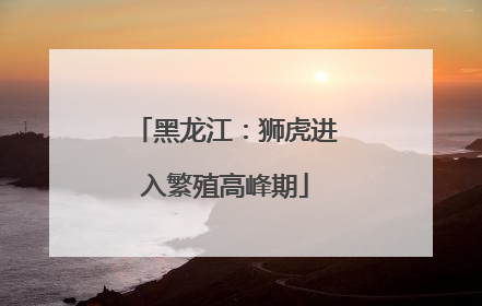 黑龙江：狮虎进入繁殖高峰期