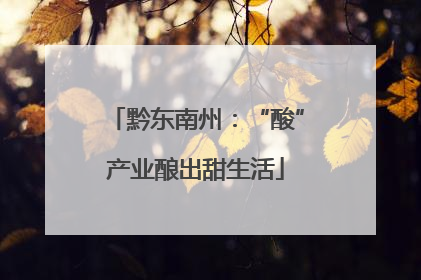黔东南州：“酸”产业酿出甜生活