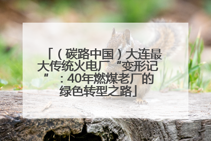 （碳路中国）大连最大传统火电厂“变形记”：40年燃煤老厂的绿色转型之路