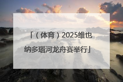 （体育）2025维也纳多瑙河龙舟赛举行