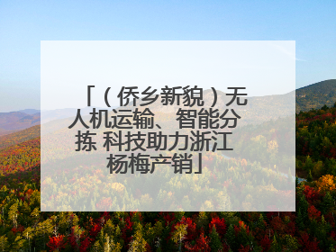 （侨乡新貌）无人机运输、智能分拣 科技助力浙江杨梅产销