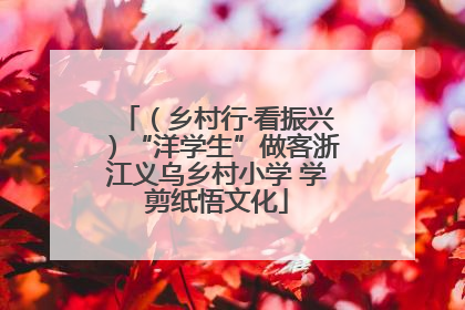 （乡村行·看振兴）“洋学生”做客浙江义乌乡村小学 学剪纸悟文化
