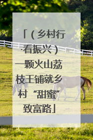 （乡村行·看振兴）一颗火山荔枝王铺就乡村“甜蜜”致富路