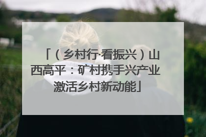 （乡村行·看振兴）山西高平：矿村携手兴产业 激活乡村新动能