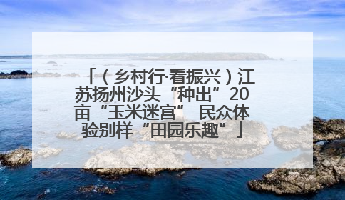 （乡村行·看振兴）江苏扬州沙头“种出”20亩“玉米迷宫” 民众体验别样“田园乐趣”