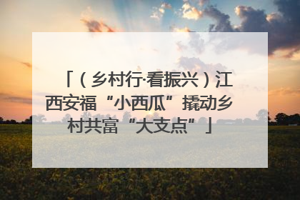 （乡村行·看振兴）江西安福“小西瓜”撬动乡村共富“大支点”