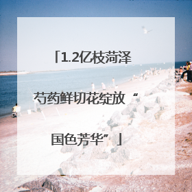 1.2亿枝菏泽芍药鲜切花绽放“国色芳华”
