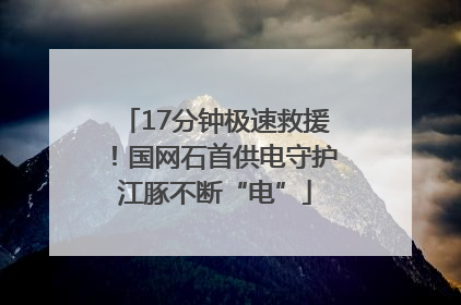 17分钟极速救援！国网石首供电守护江豚不断“电”