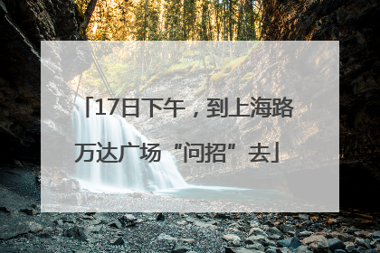 17日下午，到上海路万达广场“问招”去