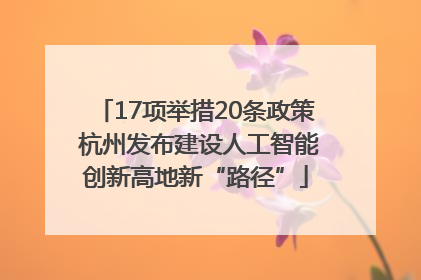 17项举措20条政策 杭州发布建设人工智能创新高地新“路径”