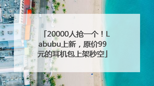 20000人抢一个！Labubu上新，原价99元的耳机包上架秒空