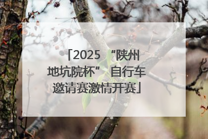 2025 “陕州地坑院杯” 自行车邀请赛激情开赛