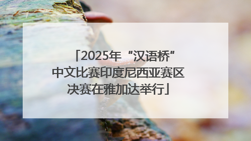 2025年“汉语桥”中文比赛印度尼西亚赛区决赛在雅加达举行