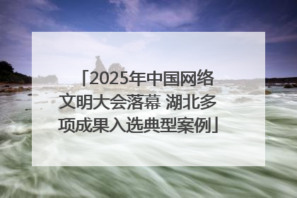 2025年中国网络文明大会落幕 湖北多项成果入选典型案例