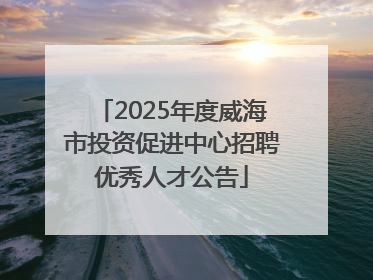 2025年度威海市投资促进中心招聘优秀人才公告