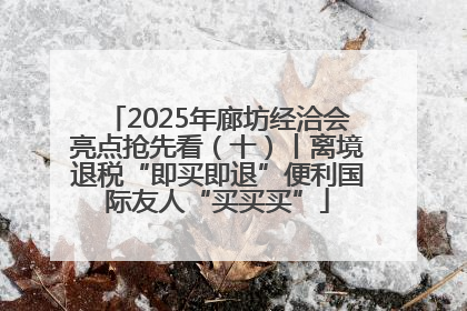 2025年廊坊经洽会亮点抢先看（十）丨离境退税“即买即退”便利国际友人“买买买”