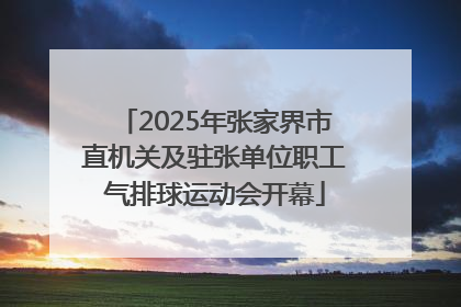 2025年张家界市直机关及驻张单位职工气排球运动会开幕