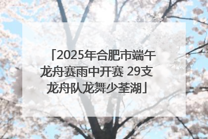 2025年合肥市端午龙舟赛雨中开赛 29支龙舟队龙舞少荃湖